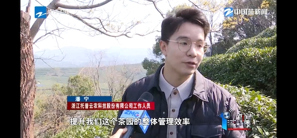 春茶開采正當時！揭秘托普云農如何用科技“制”出一杯數字好茶