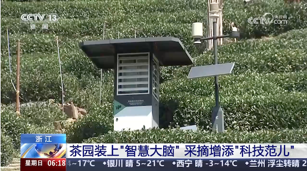 央視、人民網等權威媒體聚焦西湖龍井：托普云農“黑科技”點亮千年茶香智變之路